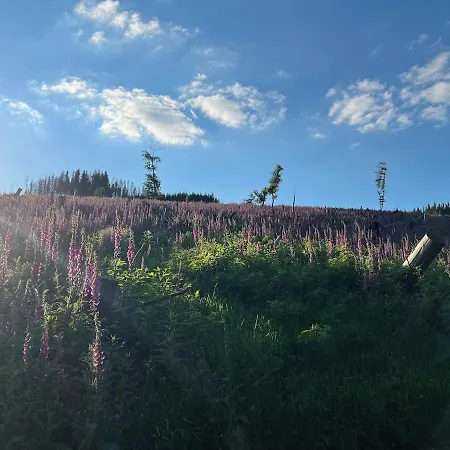 Renovierte Hasenbau Für Zwei In Winterberg